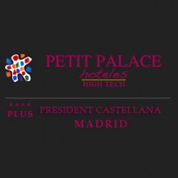 Petit Palace President Castellana