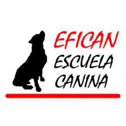 Efican - Escuela Canina