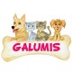 Galumis - Tienda, fotógrafos y peluquería canina
