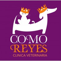 Como Reyes Clínica Veterinaria