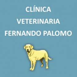 Clínica Veterinaria Fernando Palomo - Peluquería canina