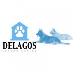 Delagos - Residencia canina