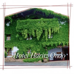 Hotel Haritz Ondo