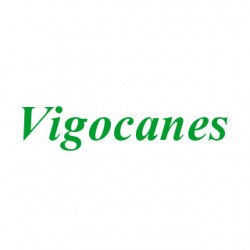 Vigocanes
