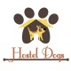Hostel Dogs - Residencia canina - Paseador - Fotógrafo de mascotas