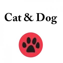 Cat and Dog - Paseadores y adiestaradores de perros