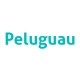 Peluguau - Paseadores y peluquería canina