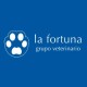 Grupo Veterinario la Fortuna - Peluquería canina