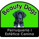 Beauty Dogs