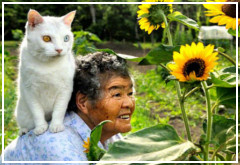 La Abuela Misao y el Gato Fukumaru