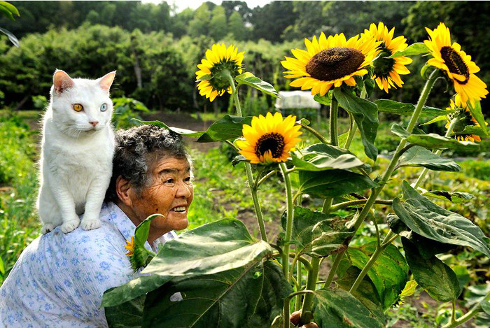 La Abuela Misao y el Gato Fukumaru