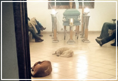 Perros callejeros asisten a un funeral