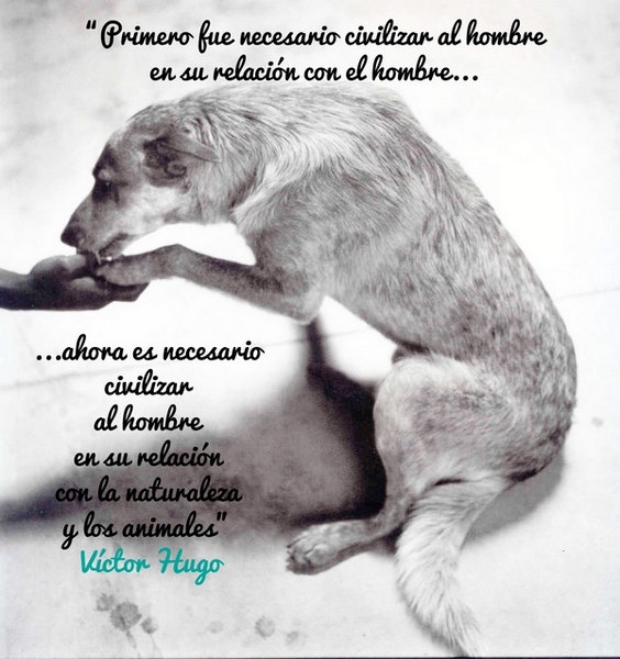 Primero fue necesario civilizar al hombre en su relación con el hombre… ahora es necesario civilizar al hombre en su relación con la naturaleza y los animales. Víctor Hugo.