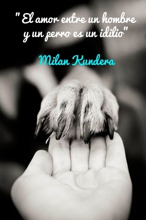 El amor entre un hombre y un perro es un idilio. Milan Kundera.