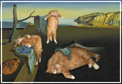 La historia del arte contada por un gato