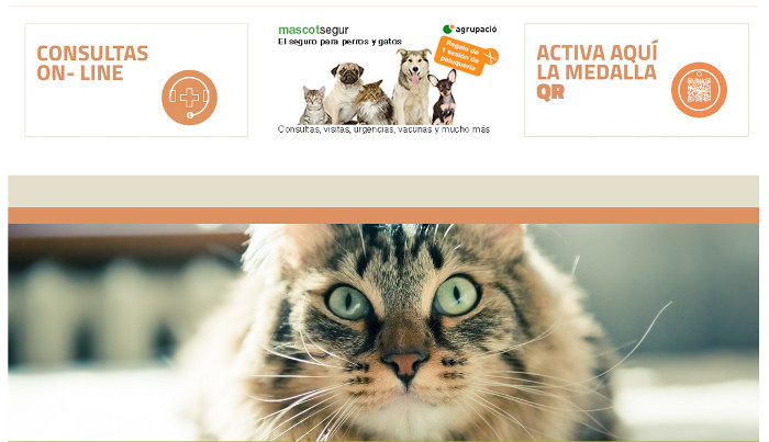 Mascotsegur - El seguro de Agrupació para cubrir a nuestra mascota