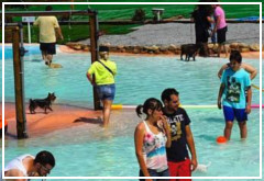 Parque acuático para perros
