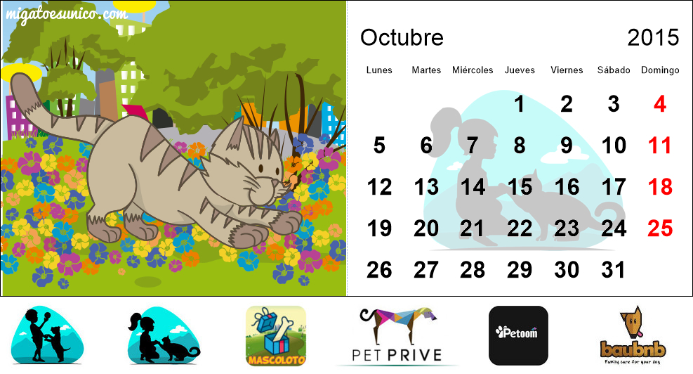 Calendario de gatos 2015 - (Argentina)
