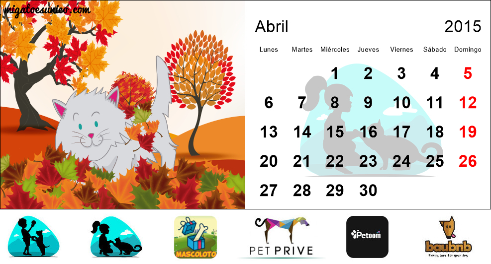 Calendario de gatos 2015 - (Chile)