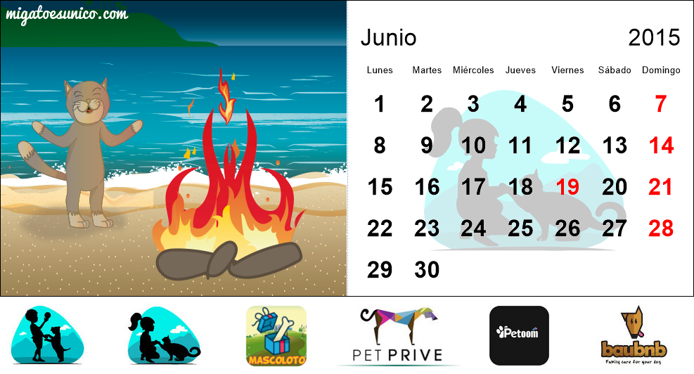 Calendario de gatos 2015 - (Uruguay)