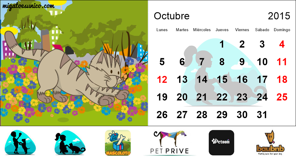 Calendario de gatos 2015 - (Uruguay)