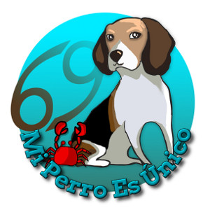 Horóscopo de perros 2016 - Signo Cáncer