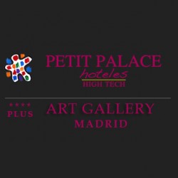 Petit Palace Art Gallery