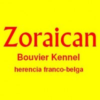 Zoraican - Criadores caninos