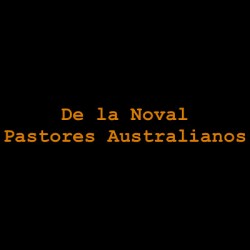 De la Noval - Pastores Australianos