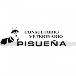 Pisueña - Consulta veterinaria