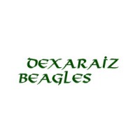 Beagles DeXaraiz
