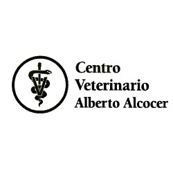 Alberto Alcocer Hospital Veterinario 24h