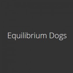 Equilibrium Dogs