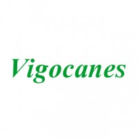 Vigocanes