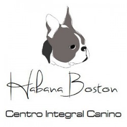 Habana Boston. Centro Integral Canino