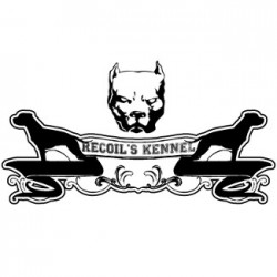 Recoil's Kennel - Criador de perros