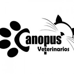 Canopus - Clínica Veterinaria - Peluquería canina