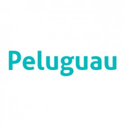 Peluguau - Paseadores y peluquería canina