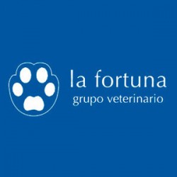 Grupo Veterinario la Fortuna - Peluquería canina