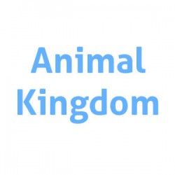 Animal Kingdom - Veterinario y peluquería canina