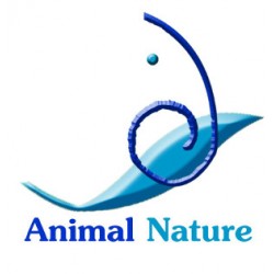 Animal Nature