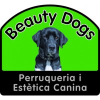 Beauty Dogs
